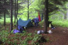 KONICA MINOLTA DIGITAL CAMERA