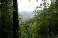 KONICA MINOLTA DIGITAL CAMERA