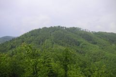 KONICA MINOLTA DIGITAL CAMERA