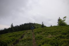 KONICA MINOLTA DIGITAL CAMERA