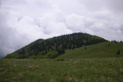 KONICA MINOLTA DIGITAL CAMERA