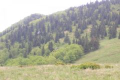 KONICA MINOLTA DIGITAL CAMERA