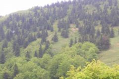 KONICA MINOLTA DIGITAL CAMERA