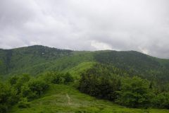 KONICA MINOLTA DIGITAL CAMERA