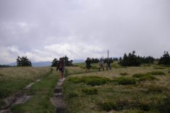 KONICA MINOLTA DIGITAL CAMERA