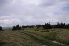 KONICA MINOLTA DIGITAL CAMERA