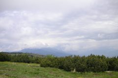 KONICA MINOLTA DIGITAL CAMERA