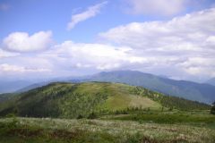 KONICA MINOLTA DIGITAL CAMERA