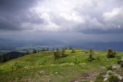 KONICA MINOLTA DIGITAL CAMERA