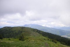 KONICA MINOLTA DIGITAL CAMERA