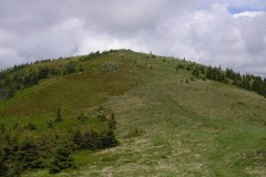 KONICA MINOLTA DIGITAL CAMERA