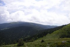 KONICA MINOLTA DIGITAL CAMERA