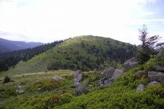 KONICA MINOLTA DIGITAL CAMERA