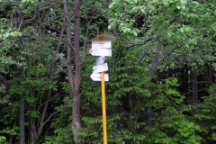 KONICA MINOLTA DIGITAL CAMERA