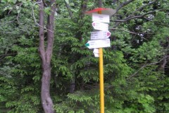 KONICA MINOLTA DIGITAL CAMERA