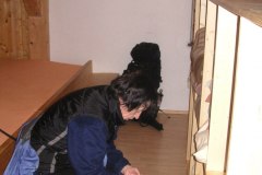 KONICA MINOLTA DIGITAL CAMERA