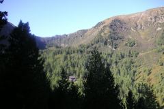 KONICA MINOLTA DIGITAL CAMERA