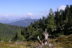 KONICA MINOLTA DIGITAL CAMERA