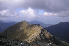 KONICA MINOLTA DIGITAL CAMERA