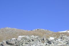 KONICA MINOLTA DIGITAL CAMERA