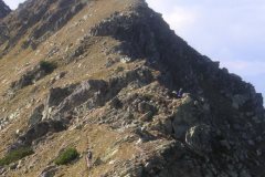 KONICA MINOLTA DIGITAL CAMERA