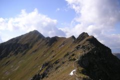 KONICA MINOLTA DIGITAL CAMERA