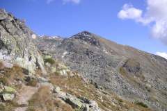 KONICA MINOLTA DIGITAL CAMERA