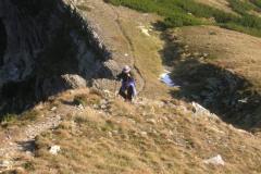 KONICA MINOLTA DIGITAL CAMERA