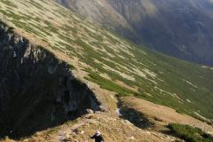 KONICA MINOLTA DIGITAL CAMERA