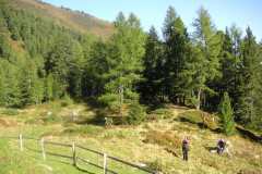 KONICA MINOLTA DIGITAL CAMERA