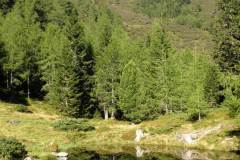 KONICA MINOLTA DIGITAL CAMERA