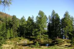 KONICA MINOLTA DIGITAL CAMERA