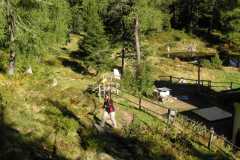 KONICA MINOLTA DIGITAL CAMERA