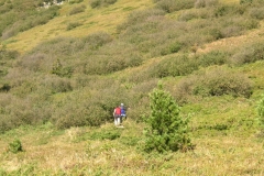 KONICA MINOLTA DIGITAL CAMERA