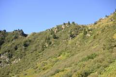 KONICA MINOLTA DIGITAL CAMERA