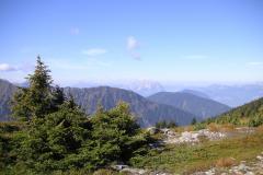 KONICA MINOLTA DIGITAL CAMERA