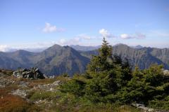 KONICA MINOLTA DIGITAL CAMERA