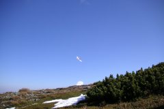 KONICA MINOLTA DIGITAL CAMERA