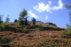 KONICA MINOLTA DIGITAL CAMERA