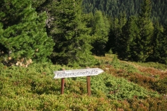 KONICA MINOLTA DIGITAL CAMERA