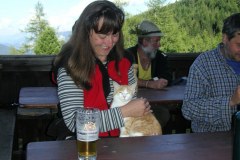 KONICA MINOLTA DIGITAL CAMERA