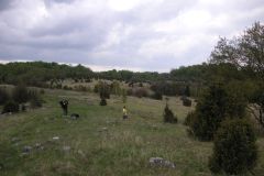 KONICA MINOLTA DIGITAL CAMERA