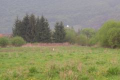 KONICA MINOLTA DIGITAL CAMERA