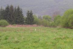 KONICA MINOLTA DIGITAL CAMERA