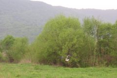 KONICA MINOLTA DIGITAL CAMERA