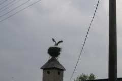 KONICA MINOLTA DIGITAL CAMERA