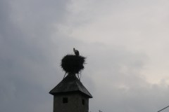 KONICA MINOLTA DIGITAL CAMERA