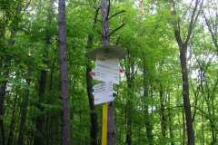 KONICA MINOLTA DIGITAL CAMERA