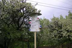 KONICA MINOLTA DIGITAL CAMERA