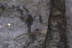 KONICA MINOLTA DIGITAL CAMERA